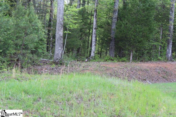 421 Terrapin Pointe Road, Unit POINTE Hodges, SC 29653 - Photo 10 of 22
