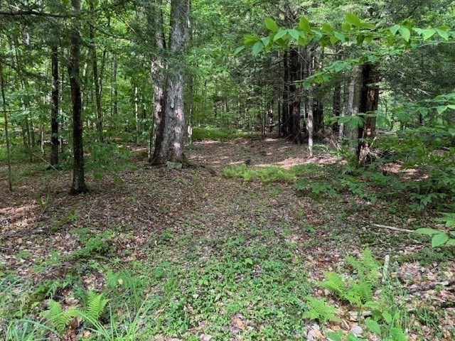 Lot 121 Davis Mine Road Rowe, MA 01367 - Photo 14 of 25 a view of outdoor space and green space