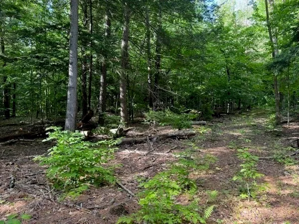 a view of outdoor space and green space
