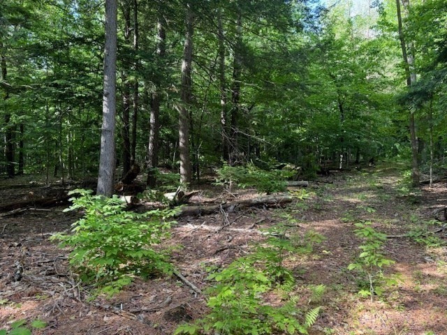 Lot 121 Davis Mine Road Rowe, MA 01367 - Photo 16 of 25 a view of outdoor space and green space