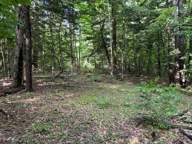 Lot 121 Davis Mine Road Rowe, MA 01367 - Photo 17 of 25 a view of outdoor space with green space