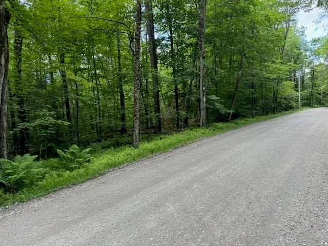 a view of a road with a trees in the background