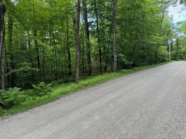 Lot 121 Davis Mine Road Rowe, MA 01367 - Photo 2 of 25 a view of a road with a trees in the background