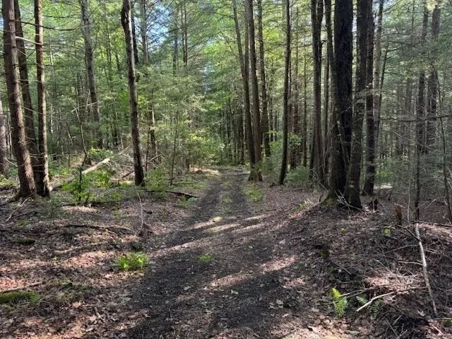 a view of outdoor space and green space