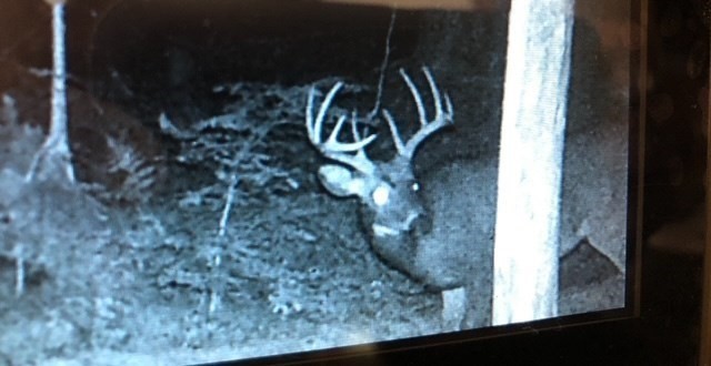 Lot 121 Davis Mine Road Rowe, MA 01367 - Photo 24 of 25