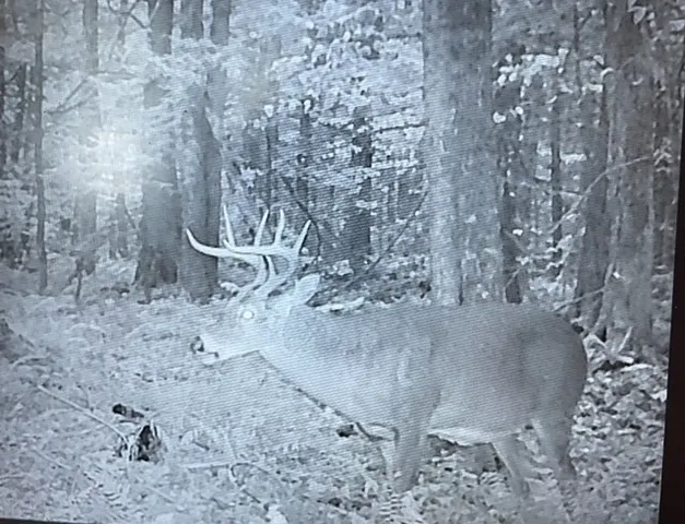 $160,000 | Lot 121 Davis Mine Road, Rowe, MA 01367