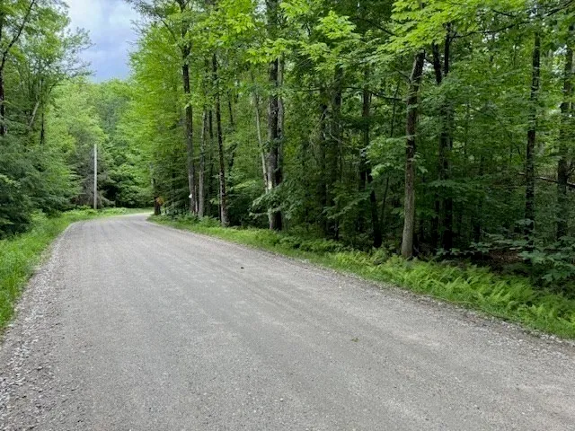 a view of a road with trees in the background