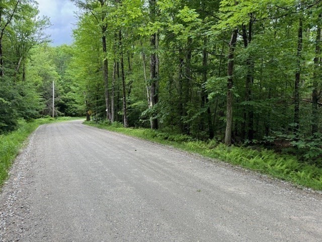 Lot 121 Davis Mine Road Rowe, MA 01367 - Photo 3 of 25 a view of a road with trees in the background