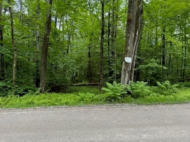 a view of a garden with a trees