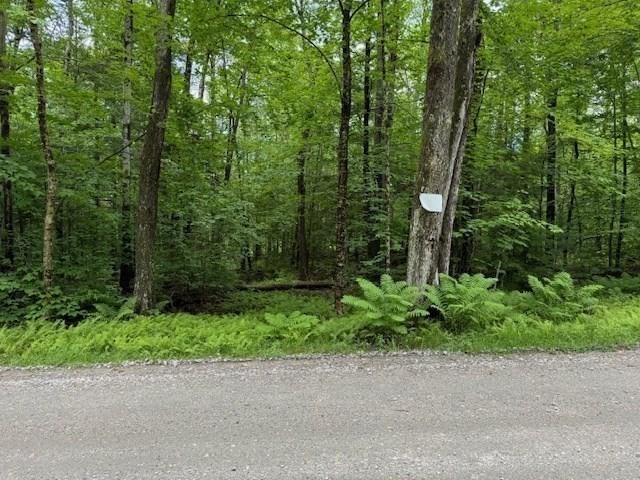 Lot 121 Davis Mine Road Rowe, MA 01367 - Photo 4 of 25 a view of a garden with a trees