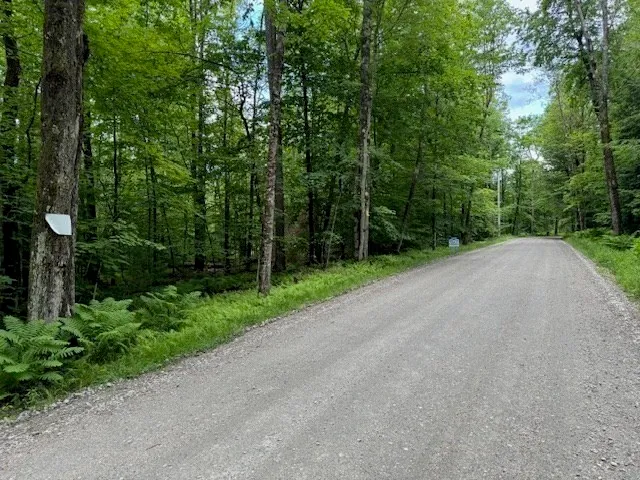 a view of a road with trees in front of it
