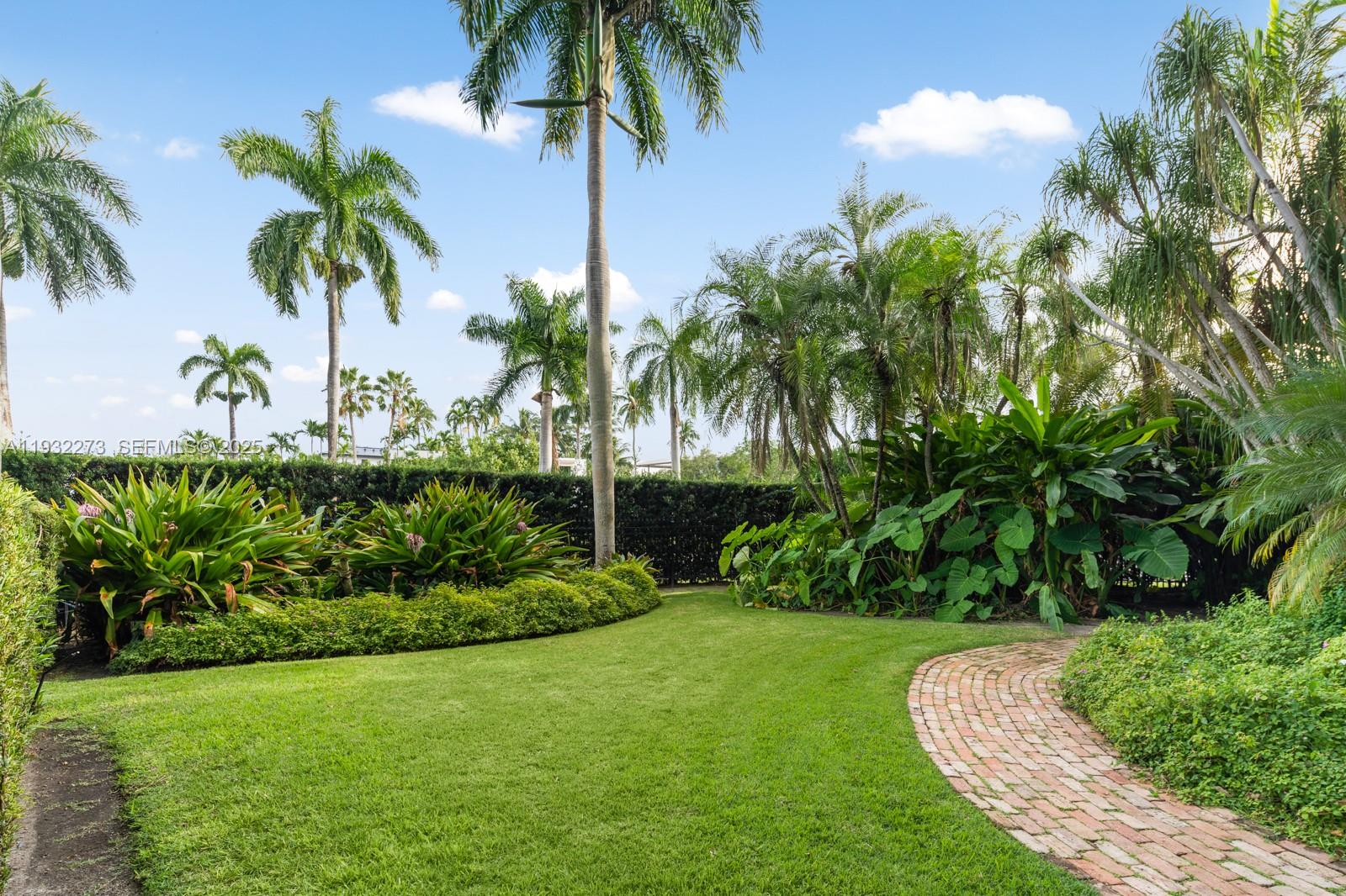 3467 North Moorings Way Miami, FL 33133 - Photo 23 of 25 a view of a palm trees with a palm tree