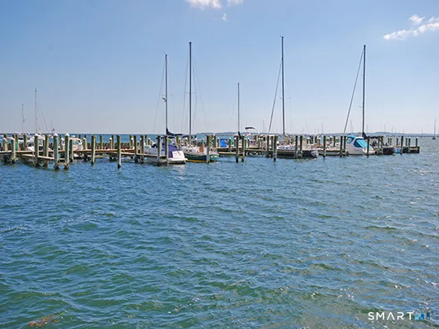 a view of water with boats and trees in the background