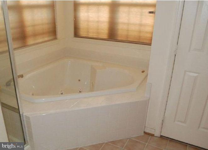 20595 Glenmere Square Sterling, VA 20165 - Photo 8 of 19 Soaking tub
