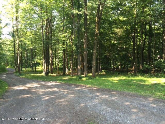 360 Overlook Road Carbondale, PA 18407 - Photo 3 of 19 Gallery Image 3