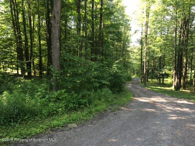360 Overlook Road Carbondale, PA 18407 - Photo 4 of 19 Gallery Image 4