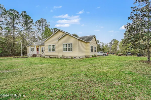 a view of a backyard with plants and large trees