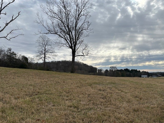 1941 Dr Robinson Rd Spring Hill Spring Hill, TN 37174 - Photo 3 of 10 a view of dirt field and trees
