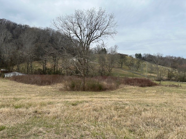 1941 Dr Robinson Rd Spring Hill Spring Hill, TN 37174 - Photo 4 of 10 a view of a lake view