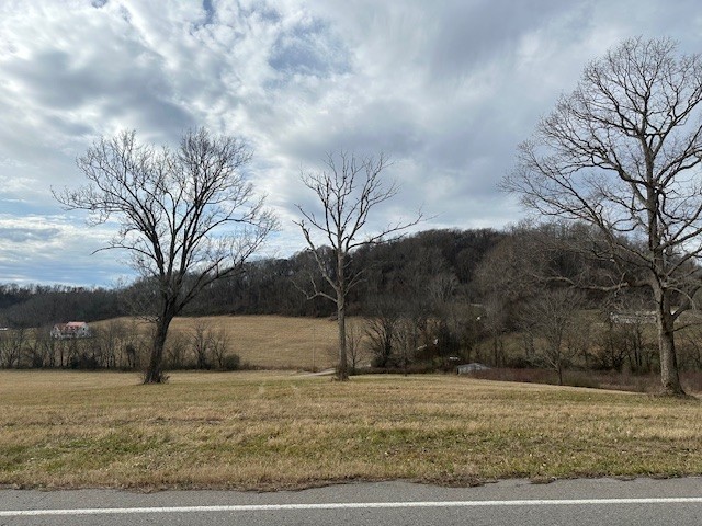 1941 Dr Robinson Rd Spring Hill Spring Hill, TN 37174 - Photo 8 of 10 a view of road with large trees