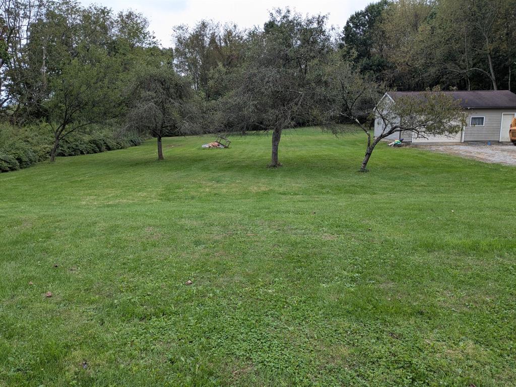 637 Wallace Run Road Beaver Falls, PA 15010 - Photo 5 of 43 3 Acres Oversized Detached Garage
