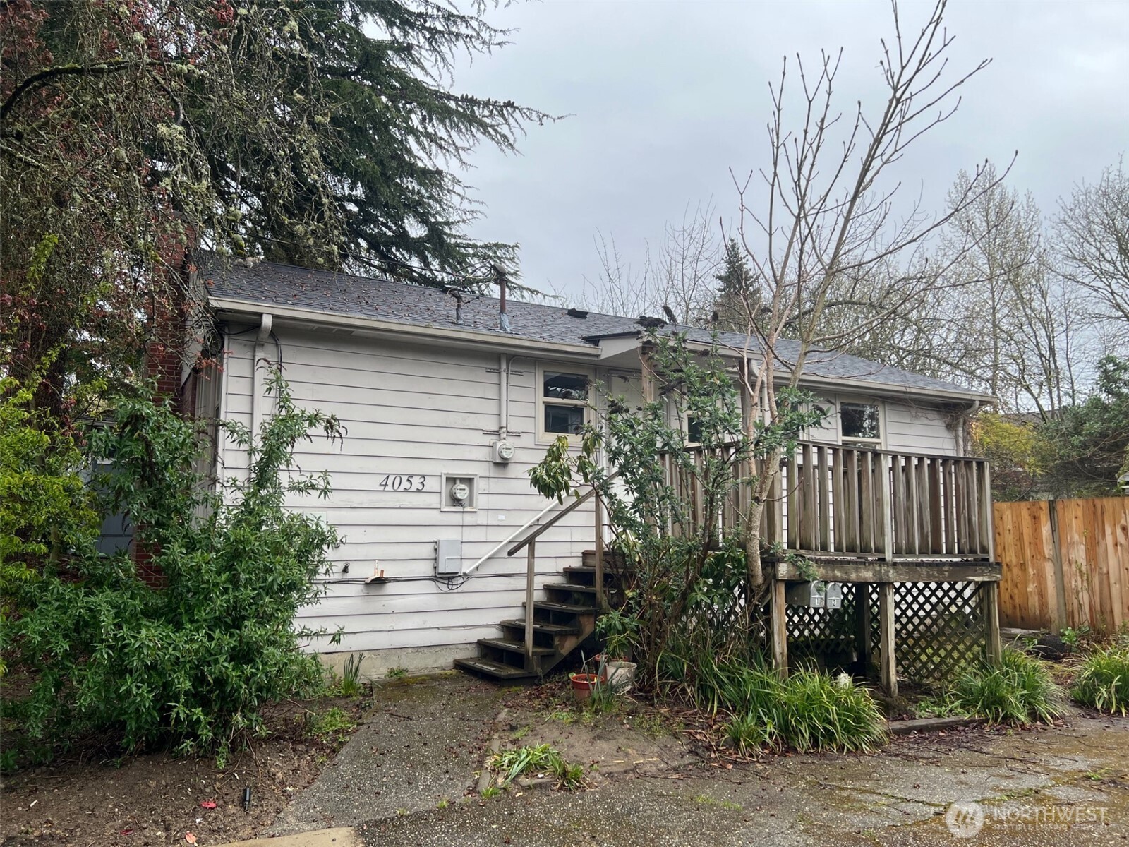 4053 Northeast 55th Street Seattle, WA 98105 - Photo 5 of 7 a view of a house with a small yard and plants