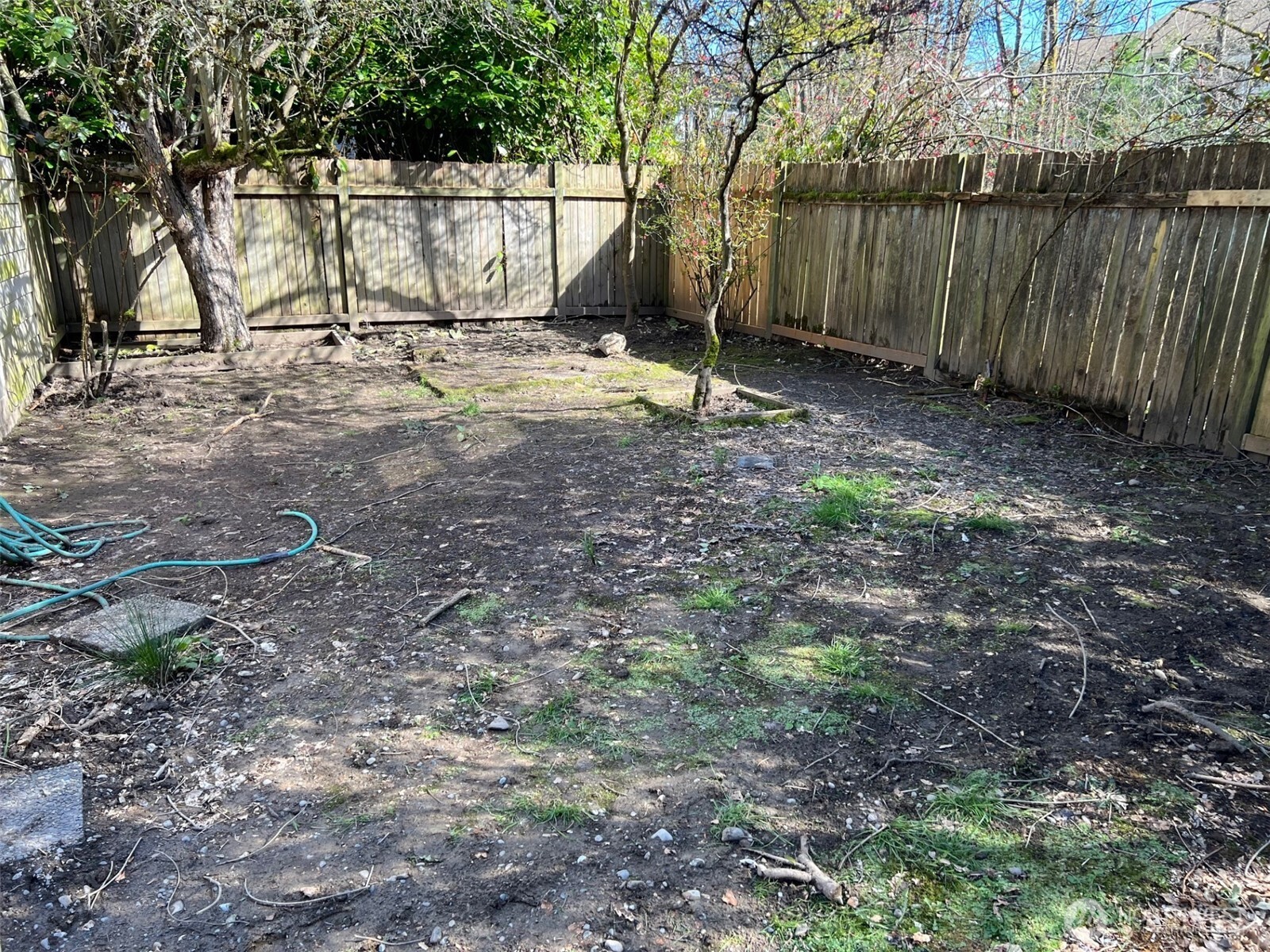 4053 Northeast 55th Street Seattle, WA 98105 - Photo 6 of 7 a backyard of a house with lots of green space