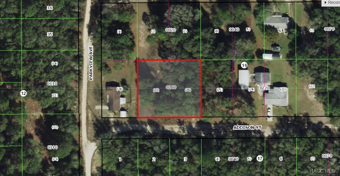 2010 Addison Street Inverness, FL 34453 - Photo 2 of 2 Gallery Image 2