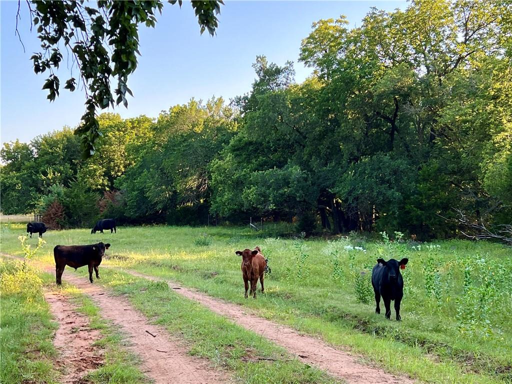 11292 Plum Thicket Road Other, KS 67138 - Photo 13 of 22