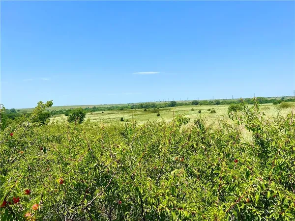 $6,500,000 | 11292 Plum Thicket Road, Sharon, KS 67138