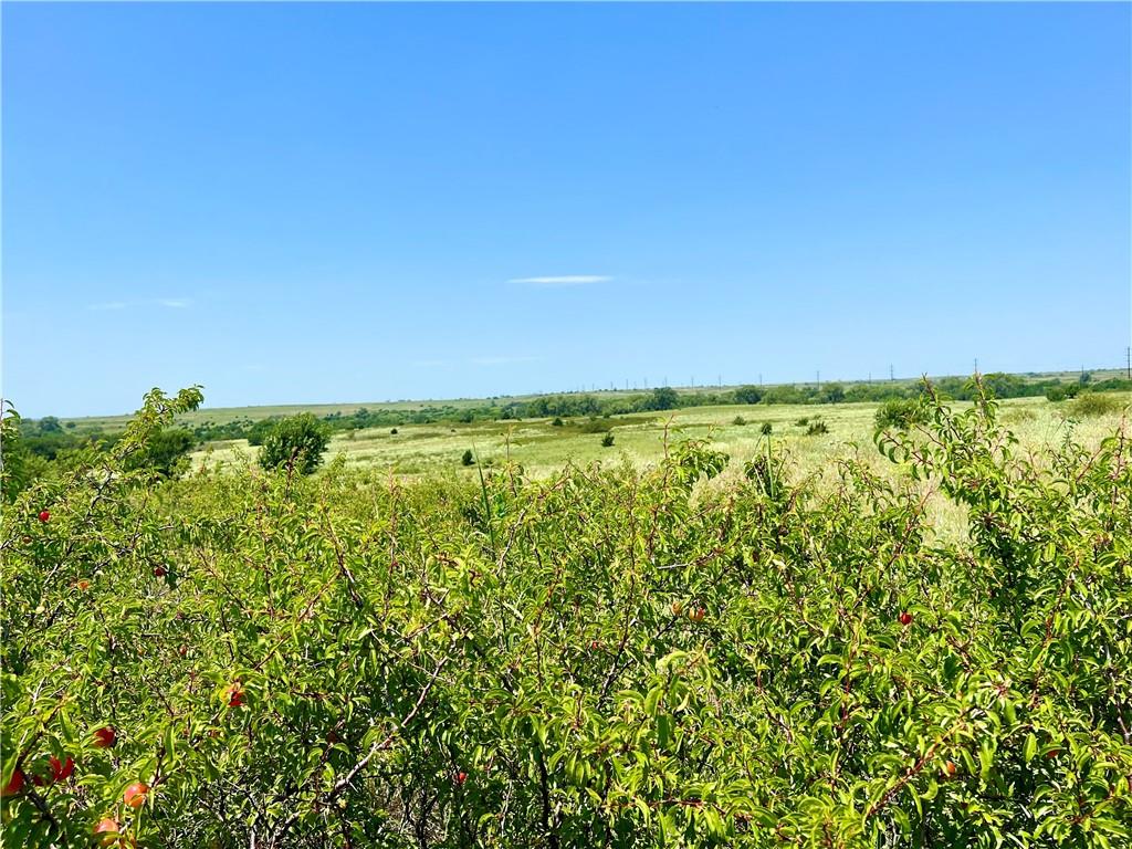 11292 Plum Thicket Road Other, KS 67138 - Photo 6 of 22