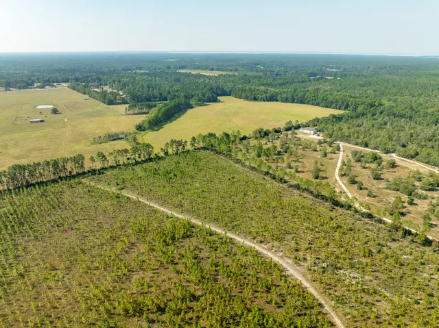 an aerial view of ocean with green space