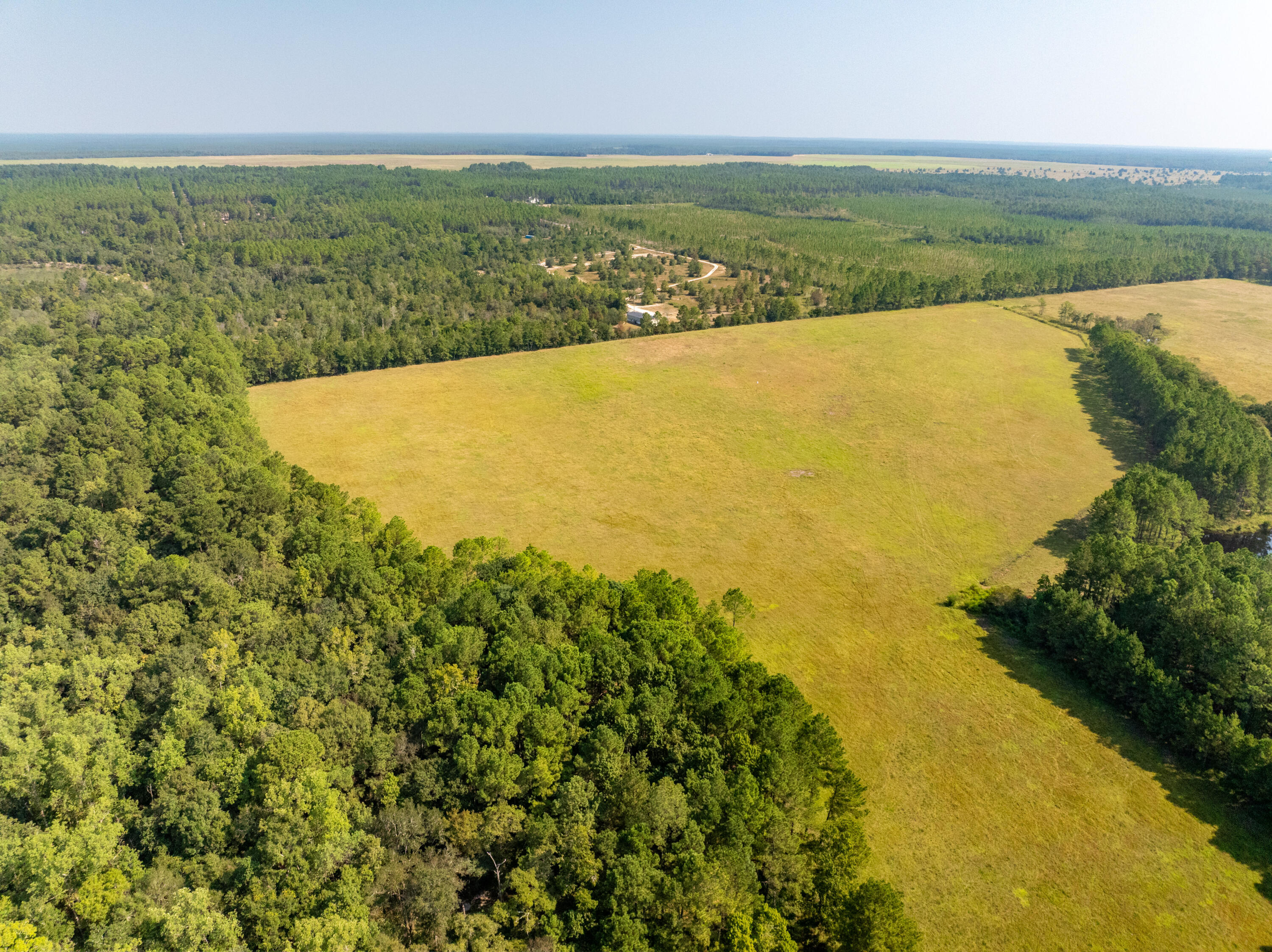 3717 Highway 20 Freeport, FL 32439 - Photo 8 of 21 an aerial view of ocean and trees