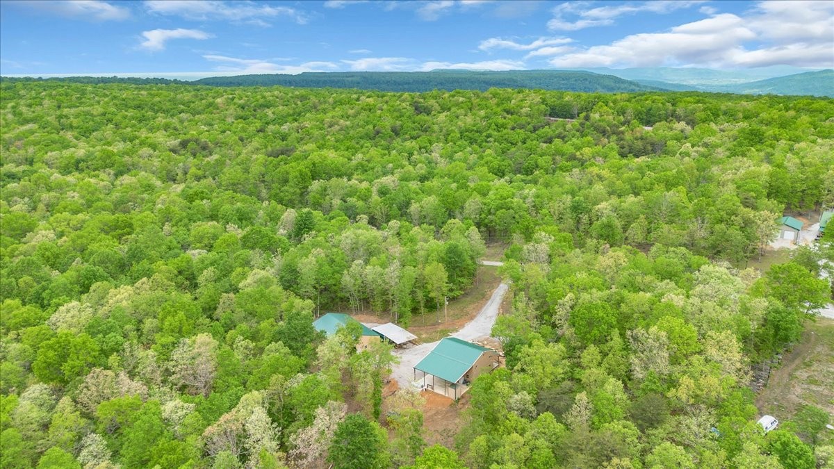 886 Hunters Ridge Drive Altamont, TN 37301 - Photo 17 of 41