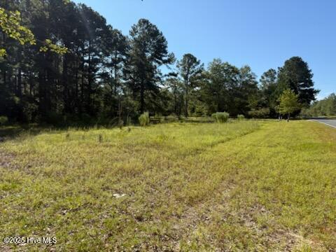 1 Tabernacle Road Laurel Hill, NC 28351 - Photo 5 of 5 856575E3-D5D0-4CED-94F5-231AE565F217