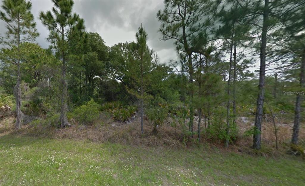 1254 Casper Street Port Charlotte, FL 33953 - Photo 1 of 6 a view of a forest with trees in the background