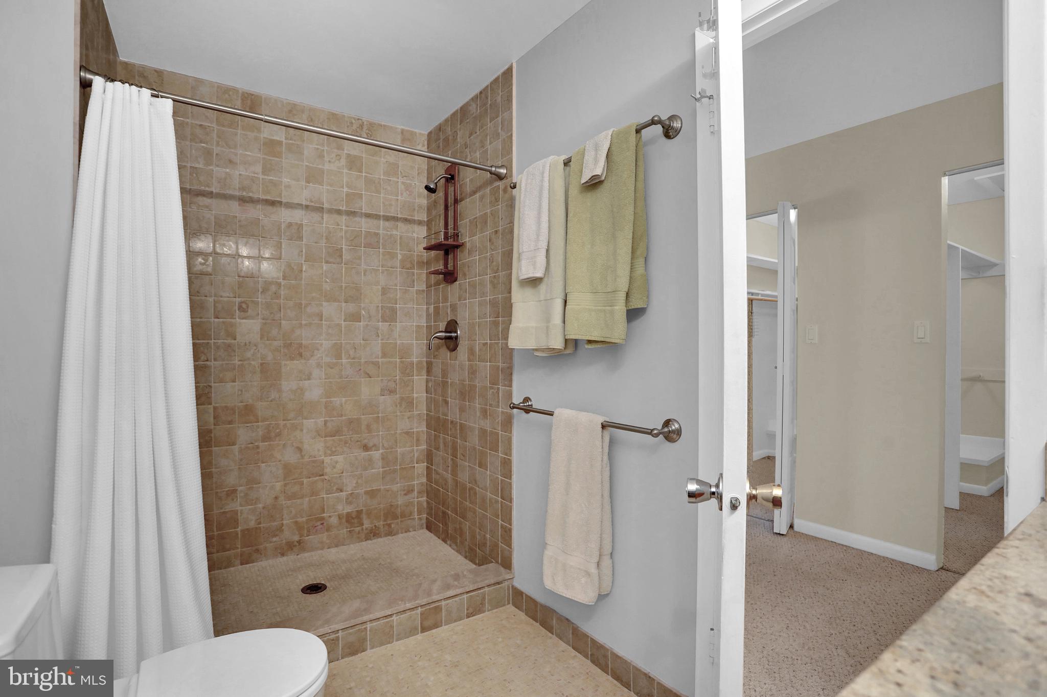 735 Stoney Spring Drive Baltimore, MD 21210 - Photo 33 of 54 Primary bathroom