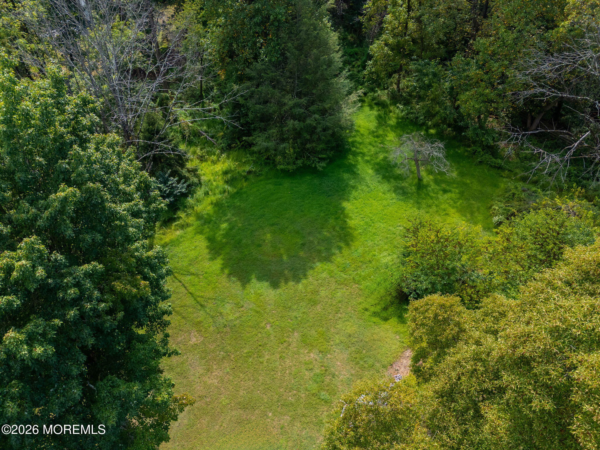 1158 Highway 34 Colts Neck, NJ 07722 - Photo 14 of 14 a view of a garden