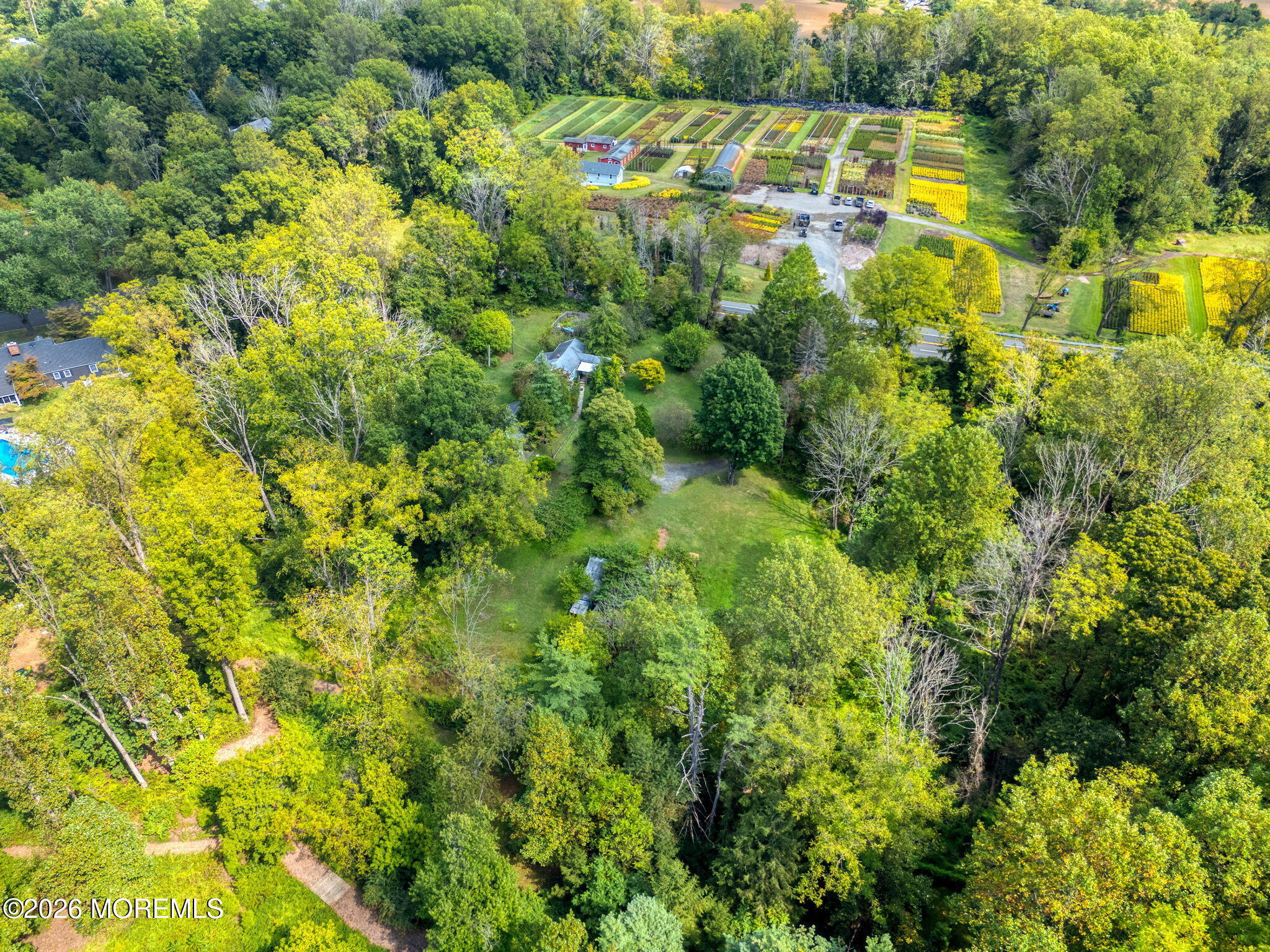 1158 Highway 34 Colts Neck, NJ 07722 - Photo 3 of 14 a view of a big yard with plants and large trees