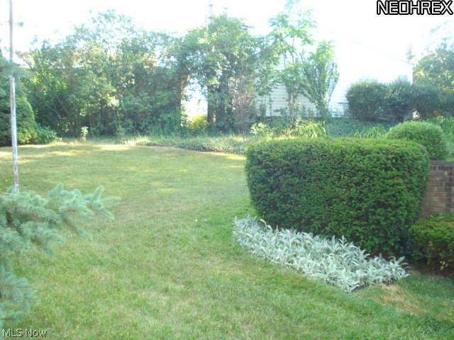 8400 West Moreland Road Cleveland, OH 44129 - Photo 20 of 23 Side Yard