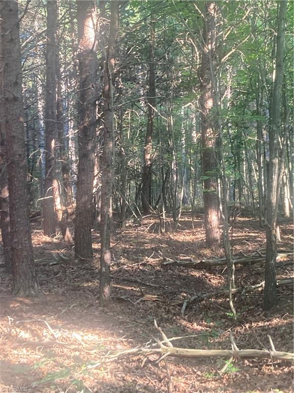 0 Graham Davis Road Denton, NC 27239 - Photo 13 of 22 Gallery Image 13