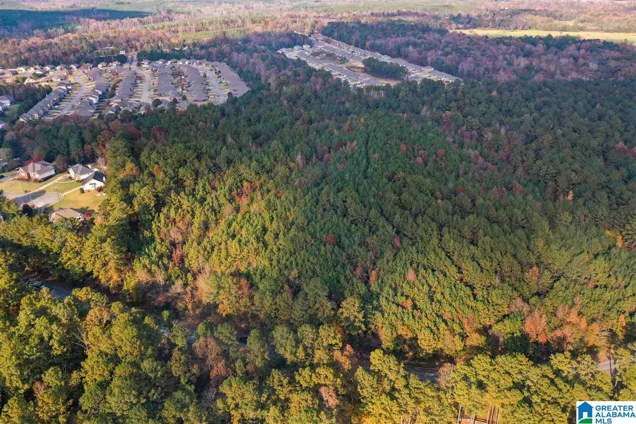 0 County Road 306 Calera, AL 35040 - Photo 2 of 9