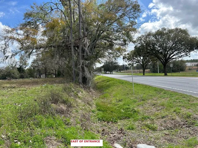 a view of a field with trees