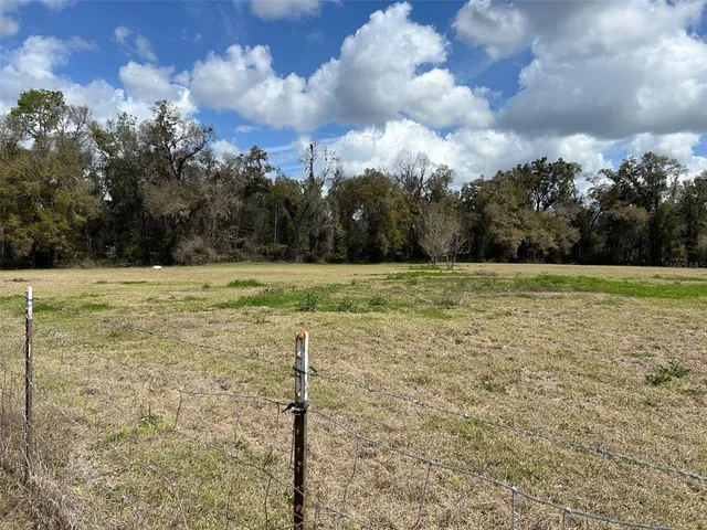 a view of a field with trees in the background