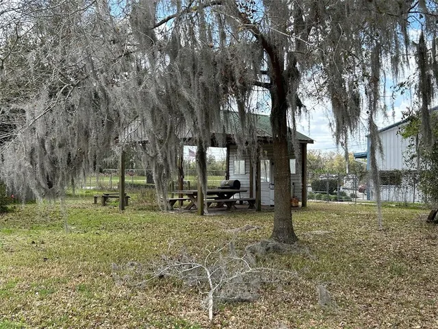 a view of a park with large trees