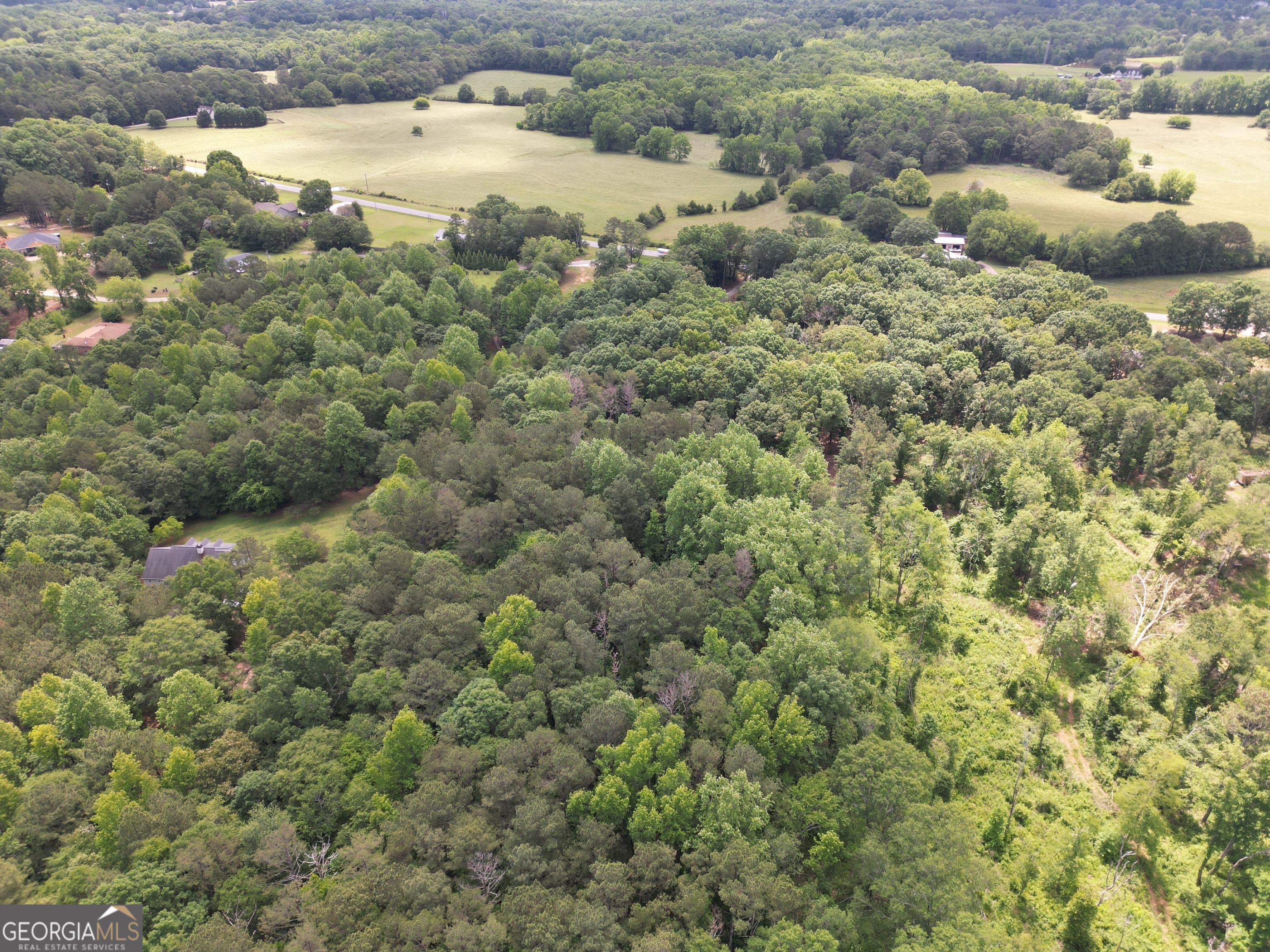 0 Harrison Johnson Road Jefferson, GA 30549 - Photo 6 of 12