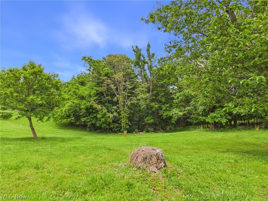 1086 Pleasant Ridge Road Sistersville, WV 26175 - Photo 26 of 40