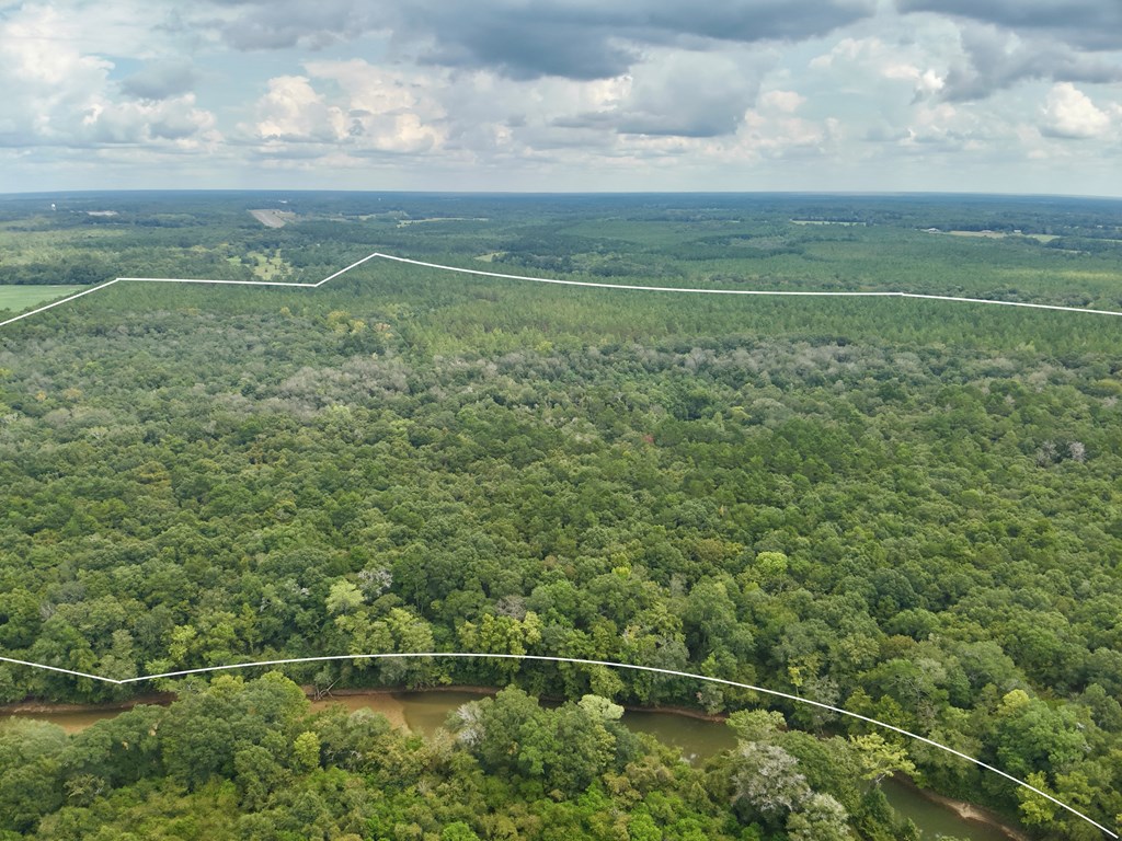 202-acres Columbus Holley Road Samson, AL 36477 - Photo 34 of 50