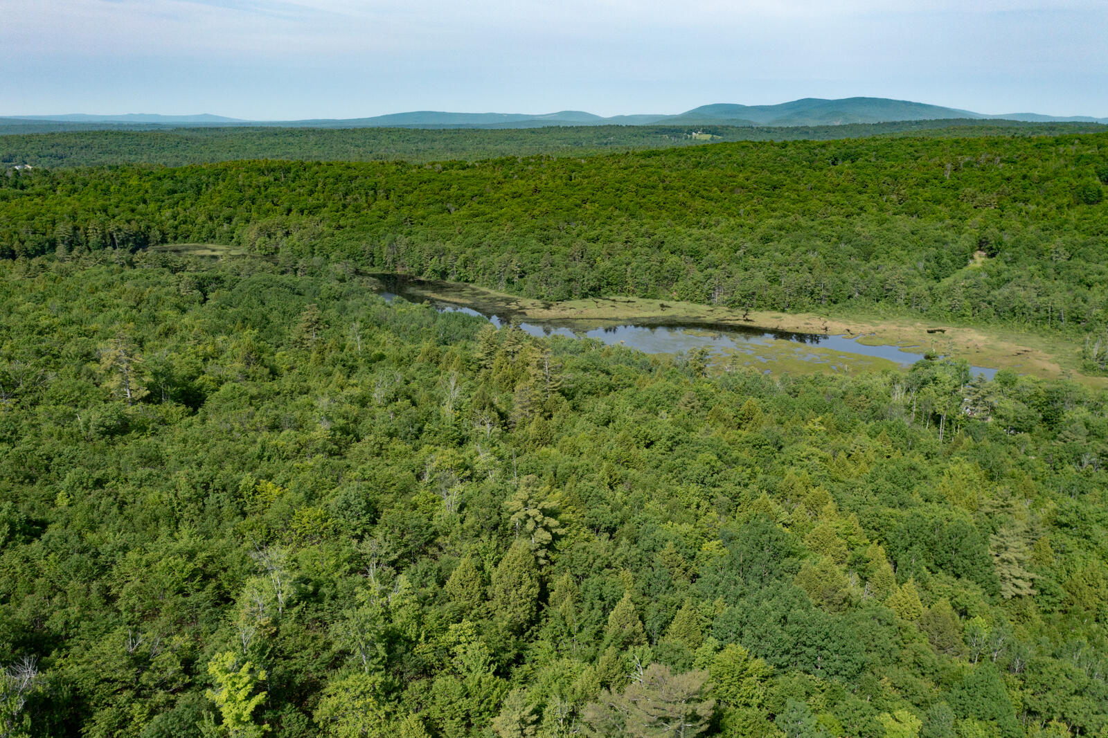 237-001 Hopper Road Acton, ME 04001 - Photo 8 of 19 DJI_0825