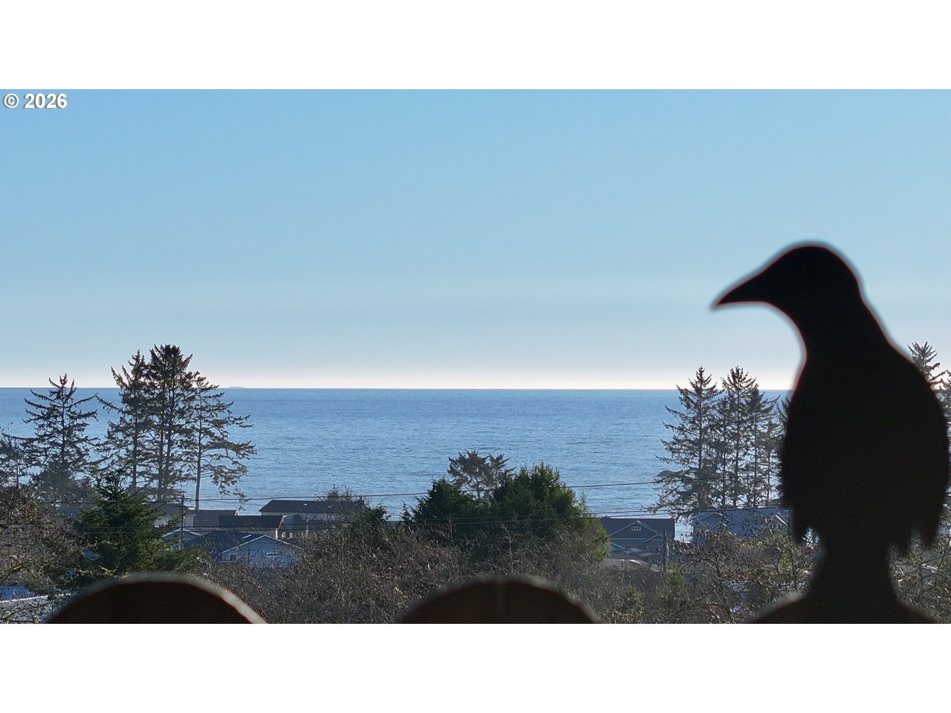 99106 East Freeman Lane Brookings, OR 97415 - Photo 2 of 37 a black and white photo of a house